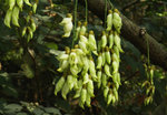 PICT0396 a