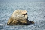 _DSC0650 a