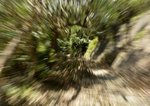 _DSC0689 a