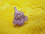 PICT0136 a