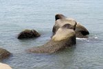 IMG_9644 c