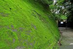 IMG_0126 a