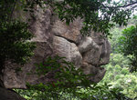 PICT0040 a