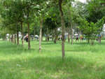 IMG_7090 a