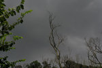 DSC_7325 a