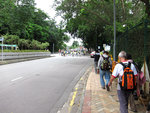 IMG_7972 a