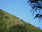 IMG_4067 a