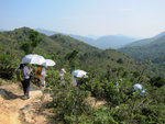 IMG_4072 a