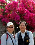 IMG_2801 a
