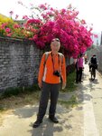 IMG_2802 a