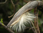 PICT0176 a