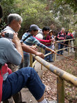 PICT0187 a
