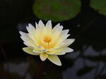 DSC_0135 b