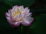 DSC_0150 b