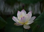 DSC_0159 b