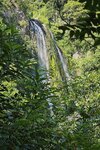 IMG_20240825_18 a