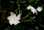 05.jpg a