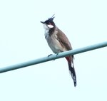 DSC08386 a