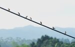 DSC08403 a