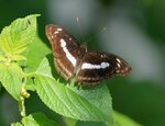DSC08425 a