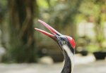 _DSC7813 a