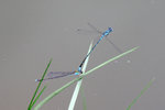 PICT0056 a