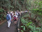 IMG_0331 a