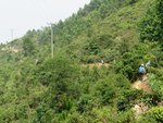 IMG_3159 a