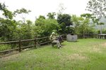 _DSC8319.jpg a