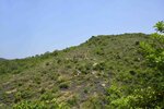 _DSC8494.jpg a