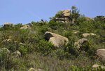 _DSC8501.jpg a