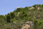 _DSC8504.jpg a