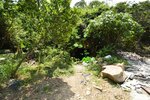_DSC8517.jpg a