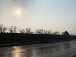 IMG_1566