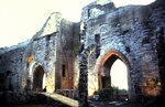 1-31-2009_002