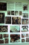 1-31-2009_008