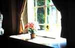 1-31-2009_035