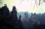 1-31-2009_001