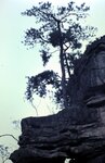 1-31-2009_002