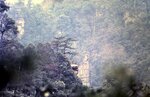 1-31-2009_006