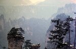 1-31-2009_008