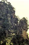 1-31-2009_009