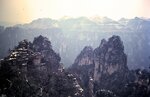 1-31-2009_016
