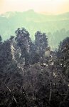 1-31-2009_021