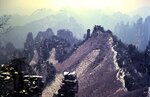 1-31-2009_027
