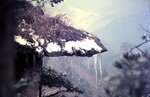 1-31-2009_032