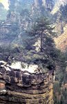 1-31-2009_035