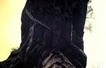1-31-2009_037