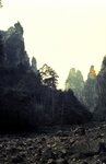 1-31-2009_039