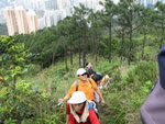 上飛鵝山